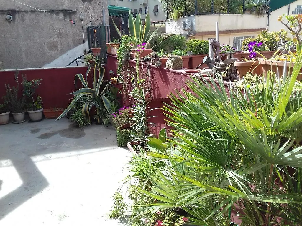 ** לינה וארוחת בוקר רומא B&B Alfeo איטליה